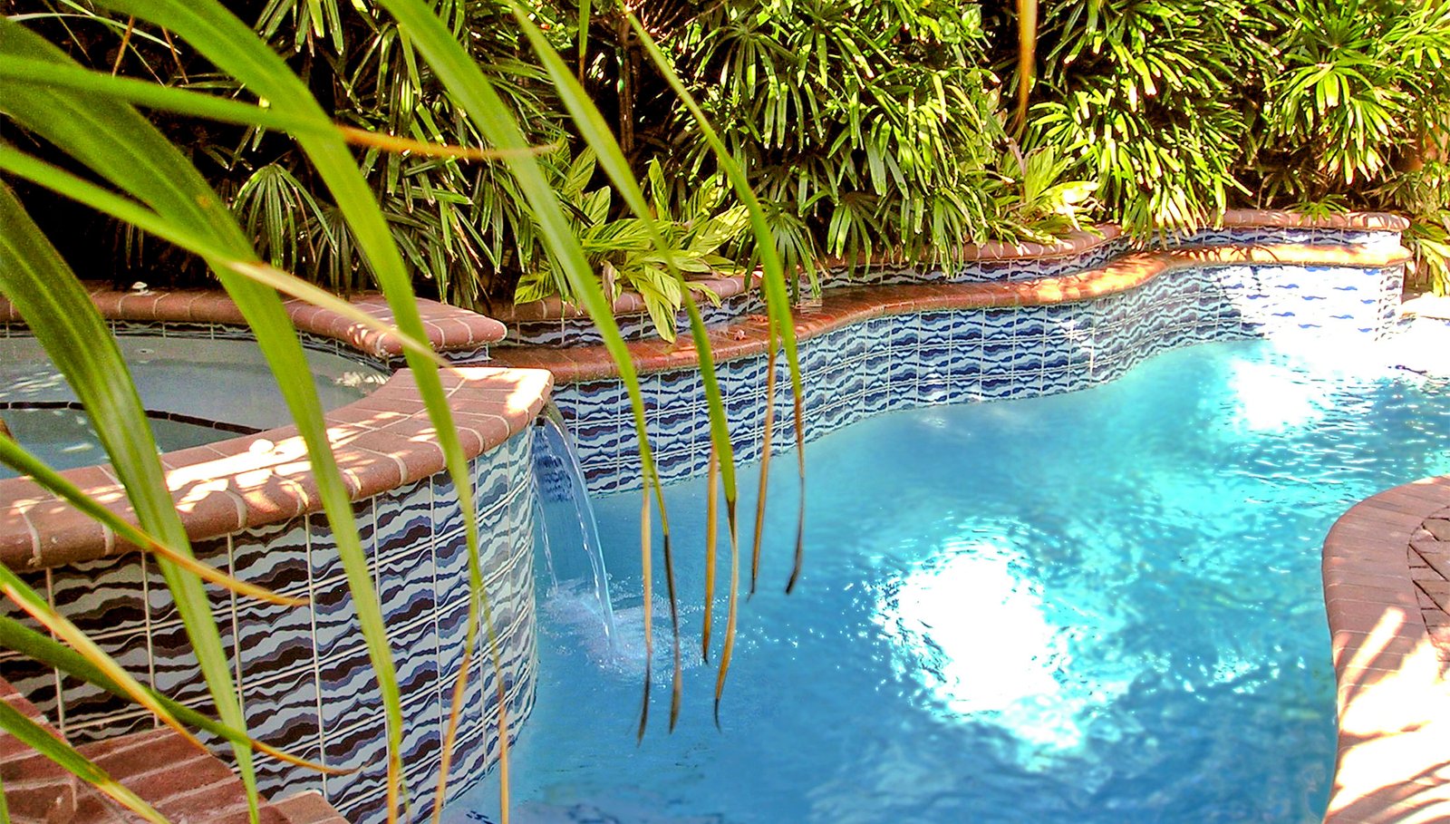Freeform pool in South Florida backyard