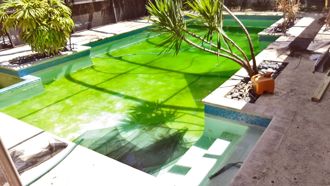 Old stained pool plaster before resurfacing in Miami FL